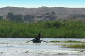 along the Nile Gallery