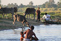 along the Nile Gallery